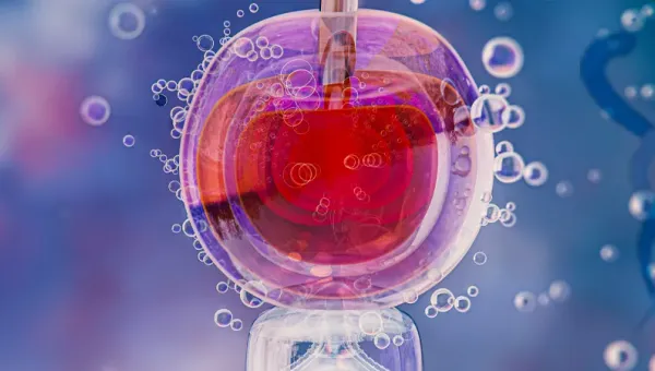 Warum ist die Endometrium-Beurteilung bei der IVF-Behandlung wichtig?