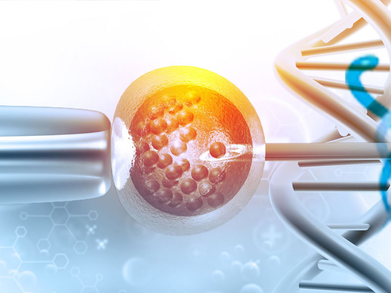 Tüp Bebek Nedir? Tüp Bebek Tedavisi Nasıl Yapılır, Fiyatları Nedir?