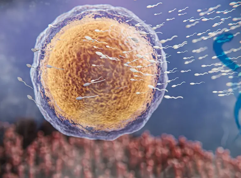 Ankara En İyi Tüp Bebek Merkezi Hakkında Bilmeniz Gerekenler Ankara En İyi Tüp Bebek Merkezi Hakkında Bilmeniz Gerekenler