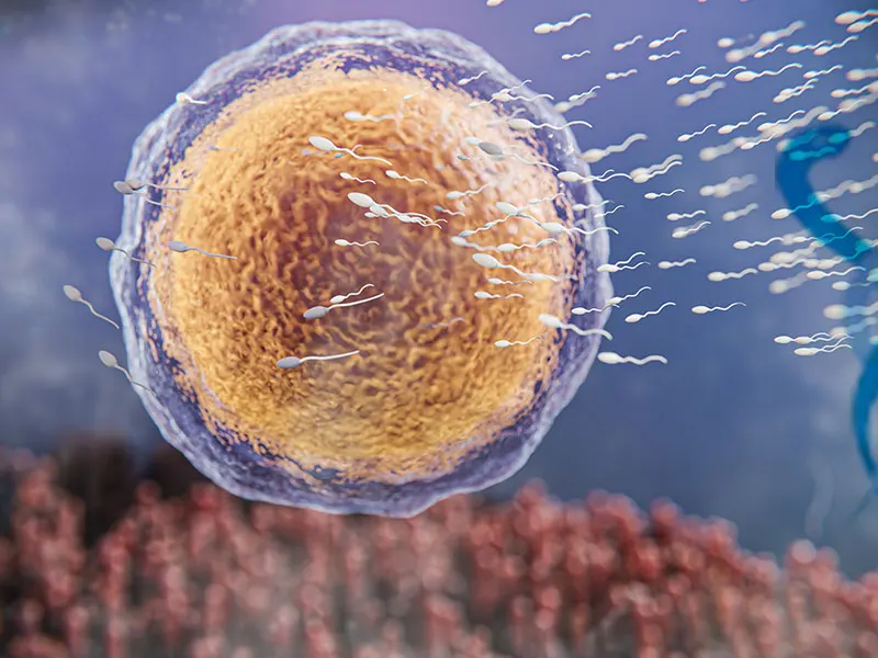 Ankara En İyi Tüp Bebek Merkezi Hakkında Bilmeniz Gerekenler