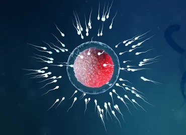 Ankara’da En İyi Tüp Bebek Merkezleri Hakkında Bilmeniz Gerekenler Ankara’da En İyi Tüp Bebek Merkezleri Hakkında Bilmeniz Gerekenler