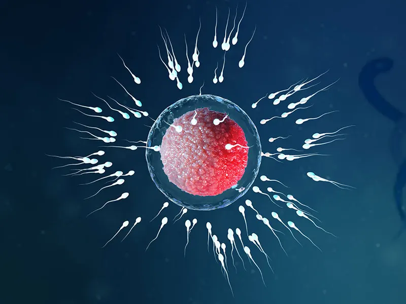 Ankara’da En İyi Tüp Bebek Merkezleri Hakkında Bilmeniz Gerekenler