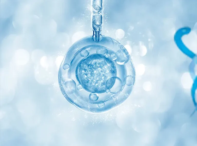 Ankara Tüp Bebek Hakkında Bilmeniz Gerekenler Ankara Tüp Bebek Hakkında Bilmeniz Gerekenler