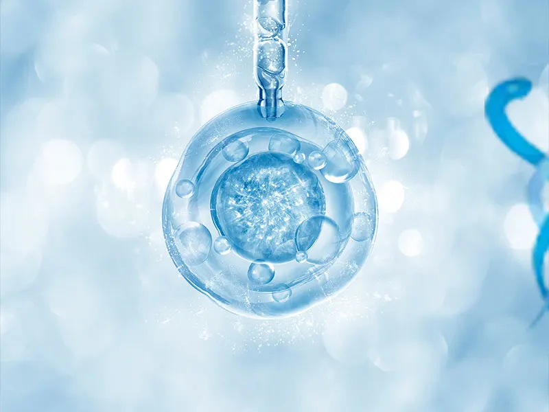 Ankara Tüp Bebek Hakkında Bilmeniz Gerekenler