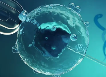 Ankara’da Tüp Bebek Tedavisinde En İyi Doktorlar Hakkında Bilmeniz Gerekenler Ankara’da Tüp Bebek Tedavisinde En İyi Doktorlar Hakkında Bilmeniz Gerekenler