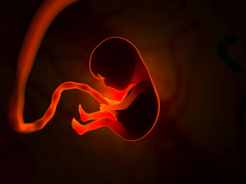 Ankara Tüp Bebek Fiyatları Hakkında Bilmeniz Gerekenler