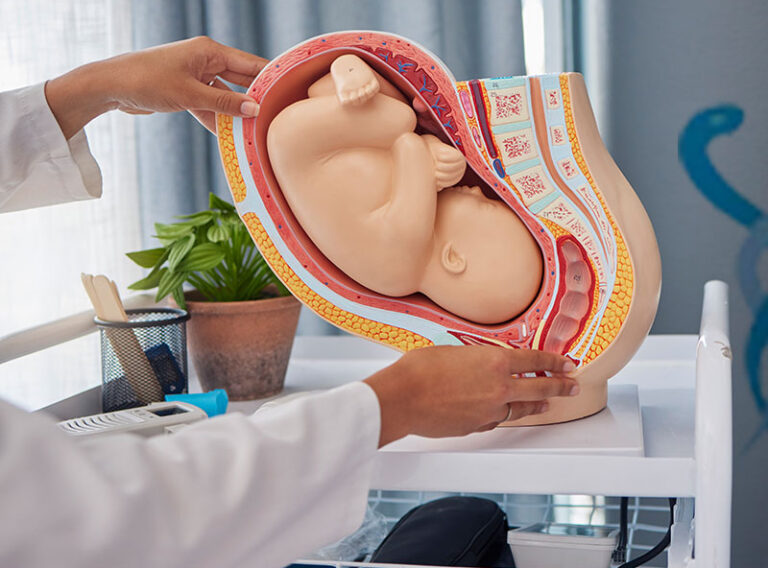 Ankara’da Tüp Bebek Tedavisi: Doğru Hastaneyi Seçerken Bilmeniz Gerekenler