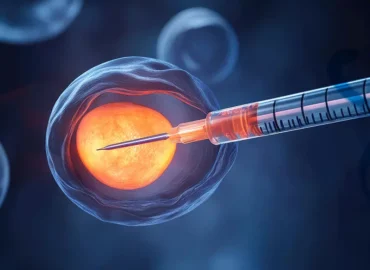 Tüp Bebek Nasıl Yapılıyor? Hakkında Bilmeniz Gerekenler