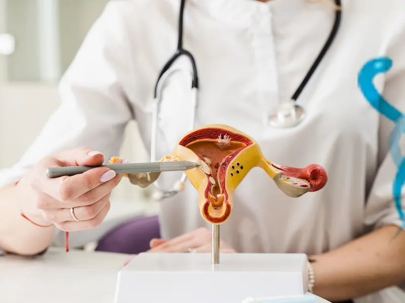 Kadın Hastalıkları Nelerdir Hakkında Bilgilendirme