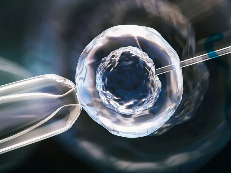 Tüp Bebek Aşamaları Hakkında Bilmeniz Gerekenler